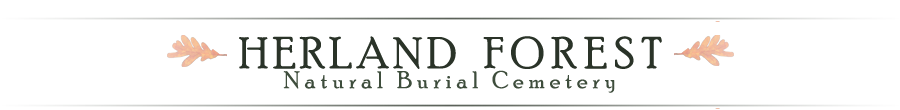 Herland Forest Banner